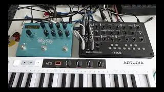 Moog MAVIS & Strymon Big Sky