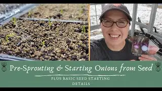 Starting Onions From Seed And More