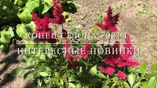 Конец сезона 2021 г. Интересные новинки