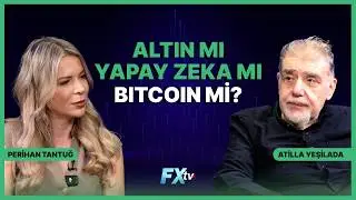 Gold, Artificial Intelligence, or Bitcoin? | Master of the Market | Atilla Yeşilada and Perihan T...