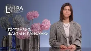 КАК ФЛОРИСТУ УХАЖИВАТЬ ЗА ГОРТЕНЗИЕЙ | СОВЕТЫ LBA