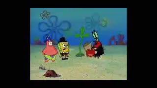 But Mr. Krabs, that seaweed has…