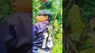 ក្មេងព្រៃដើររុកព្រៃ🥰