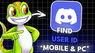 How to Find Discord ID (Mobile + PC)