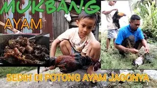 POTONG AYAM JAGO | MASAK AYAM