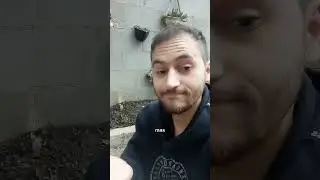 Deixe dicas nos comentários mostrando o que você faz para proteger a sua família da dengue ❤️