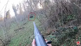Domuz Avı (Ne Yöne Koşacağını-Nerede Duracağını İyi Bileceksin) - accurate shot at wild boar