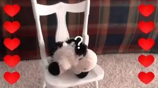Everybody's Got Somebody But Me Webkinz Music Video