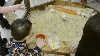 Отец заснял как мать 