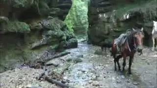 Конная прогулка в ущелье 