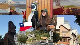 Conociendo librerías en Chile🇨🇱 y la Patagonia Chilena🗻🌨️