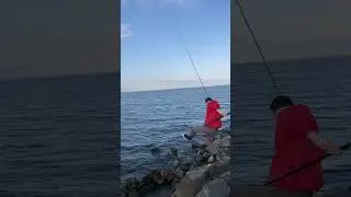 ЛЕЩ на Финском заливе #shorts