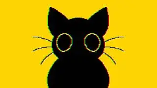 котик крутитса