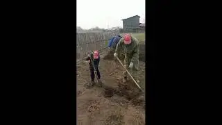 Мои помошники