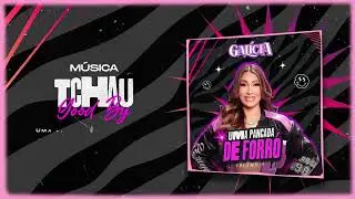 Galícia - Tchau Good By ( Uma Pancada de Forró Vol. 4 )