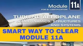 Module 11A Study Plan (Smart Work)