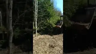 тдт 55 пахата
