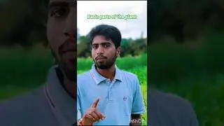 Plant And Tree Ka Basic part Ka🥰😍 Naam#trending #shorts #biology #ytshorts