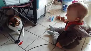 Cat and baby
