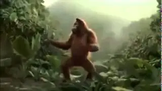 Funny Tanzender Affe Fettwegkur.de