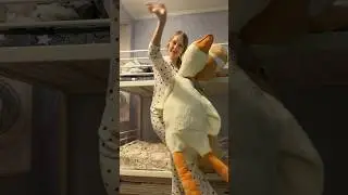 СТИРАЮ ОГРОМНОГО КОТА И ГУСЯ 🧐