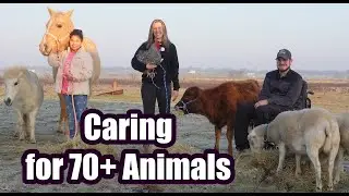 Welcome to King Cross Farms! #asmr