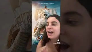 One Piece Show Being Released on Netflix?
