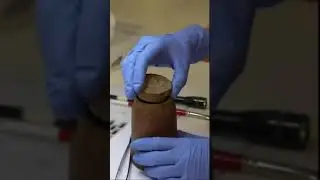 Archaeologists have found a treasure trove of coins in the rock #treasure #coins