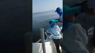 Surprised to catch a really nice King Mackerel while jigging the depths in Fujairah, UAE!!!