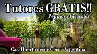 🥒🌻Cómo hice tutores GRATIS para mi huerta? SIEMBRA de PEPINOS agradecidos con los GIRASOLES🌻🥒