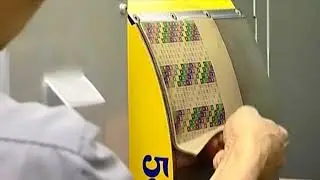 STDS