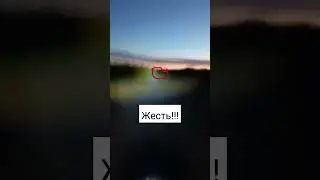 Нечто встретилось на дороге 😱