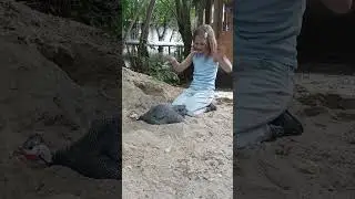 Спа цесарки 2