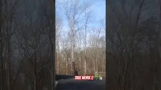 Taking down large tree #menatwork #tree #treework #climber #construction #outdoors #shorts