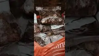 Кладоискатель нашел в поле клад. Стоимостью около 1500000$ 