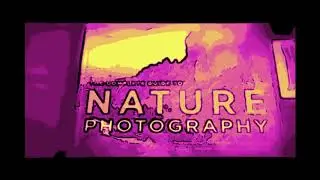 Cheap Camera Challenge: Plus Free Online Photo Editing and Photography Courses.