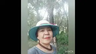ЖАМИЛА серуен