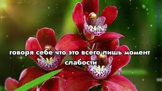 Моя мачеха был