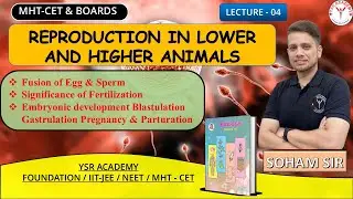 Class 12 Lecture -4 | Reproduction in Lower and Higher Animals | #ysracademy | Maharashtra Boards
