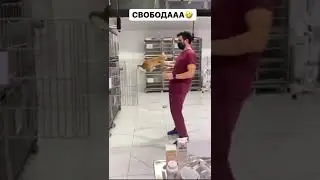 Свобода попугаям 😂