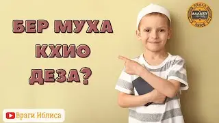 Бусалба динехь бер муха кхио деза - lадлан