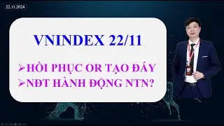 #613 Vnindex 22/11, nhịp hồi or tạo đáy? NĐT hành động ntn?