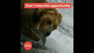ACCA Exams? Don't miss opportunity