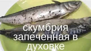 скумбрия запеченная в фольге. Как вкусно и быстро приготовить скумбрию в духовке