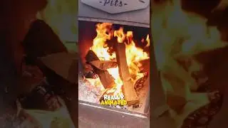 Fire Management: Coals vs Logs!