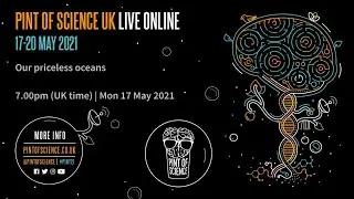 Our priceless oceans