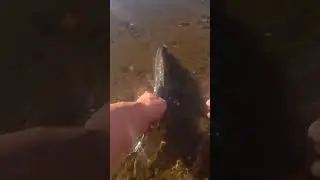Не ожидал такого хамства 🤣🤣🤣 