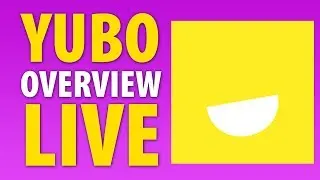 What Is Yubo?