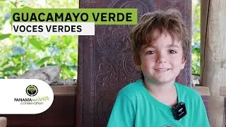 Green Voices Interview to Zafir  -Ara Panama