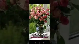 Безусловная любовь - медитация